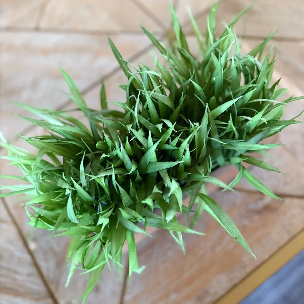 Faux Grass Plant Decor in Wooden Planter